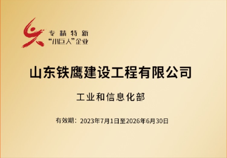 国家级专精特新小巨人企业