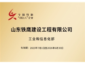 国家级专精特新小巨人企业