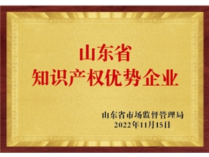 山东省知识产权优势企业