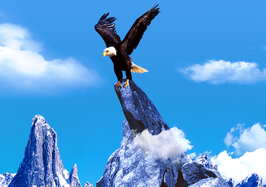 k8凯发实业集团有限公司